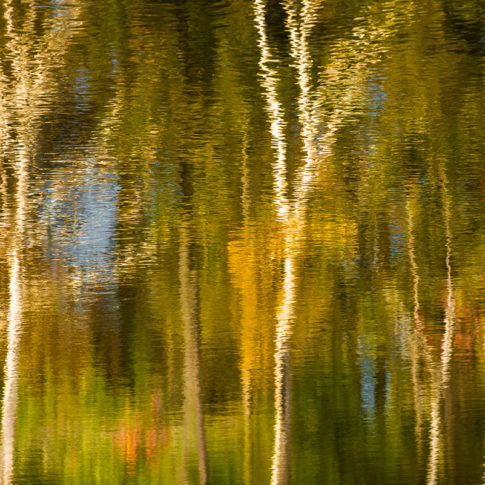 AUTUMN-REFLECTION-barbara-dallangelo
