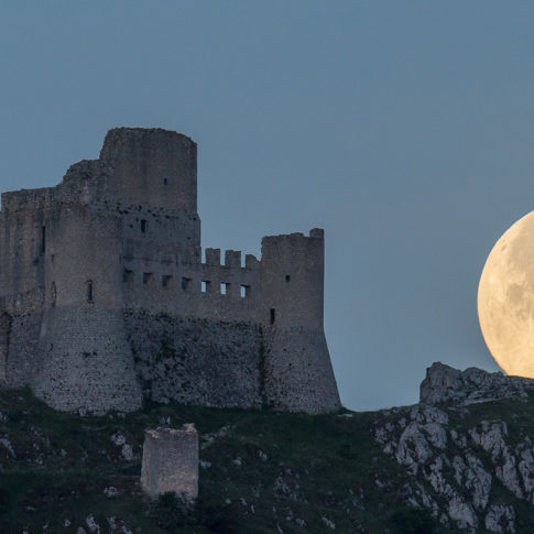 Harvest Moon - Barbara Dall'Angelo