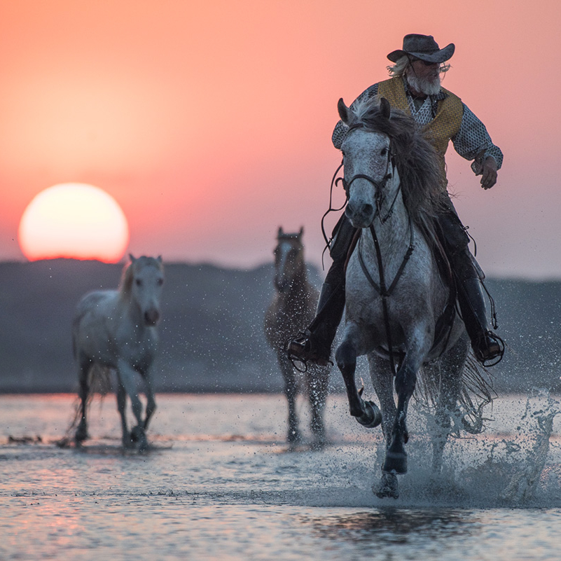 The Guardian at Dusk - Barbara Dall'Angelo